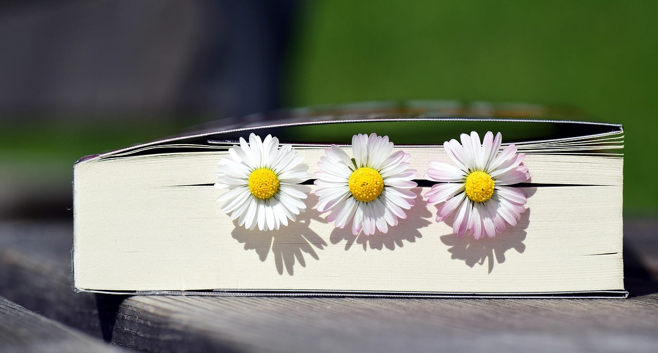 'The Daisy Newsletter' Sharing our Stories - January 2026