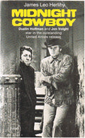 The Midnight Cowboy (Panther Books) by James Leo Herlihy