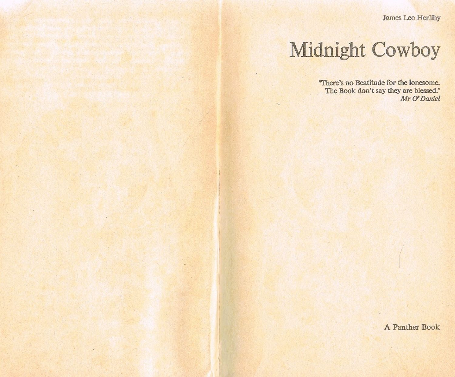 The Midnight Cowboy (Panther Books) by James Leo Herlihy