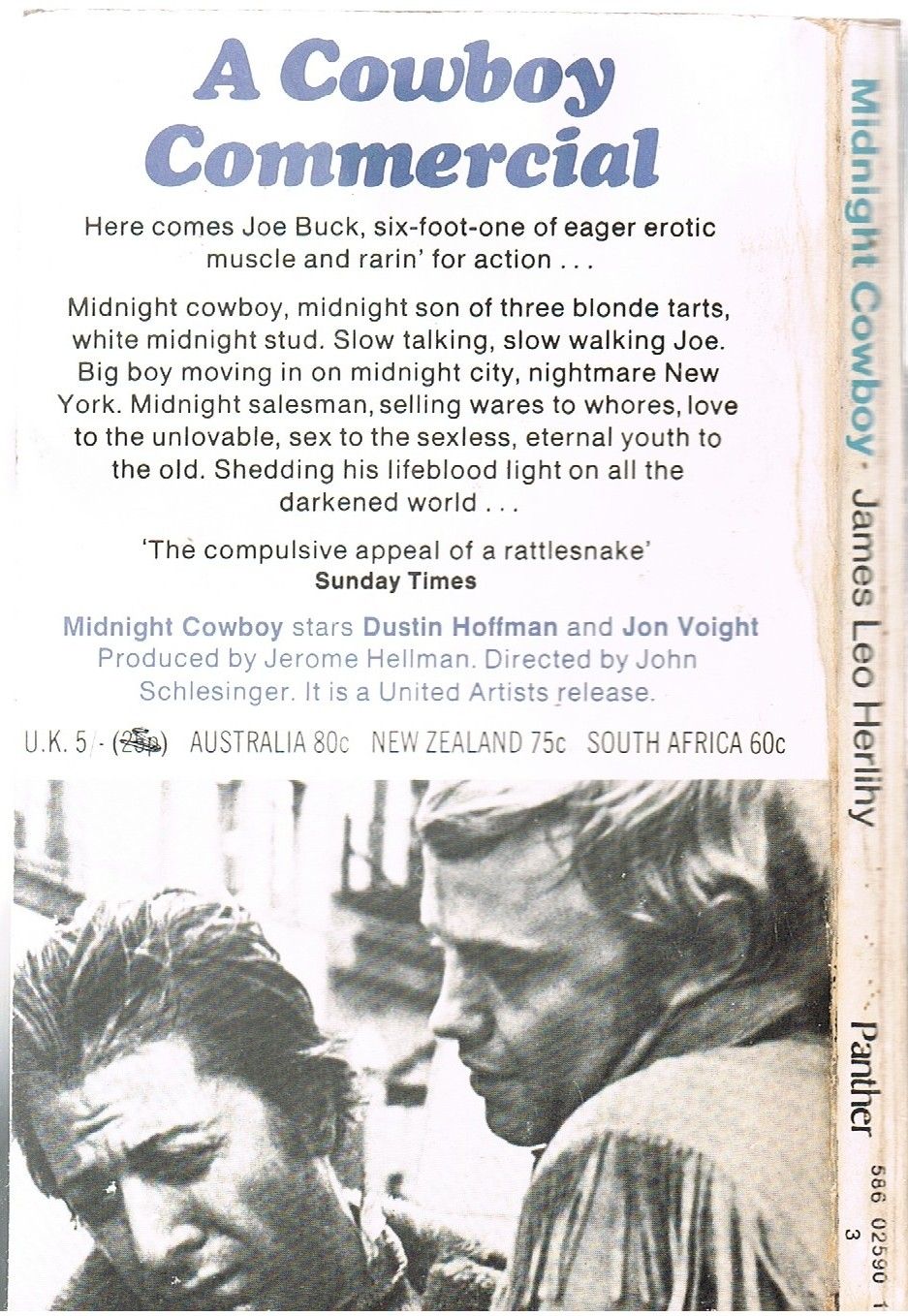 The Midnight Cowboy (Panther Books) by James Leo Herlihy