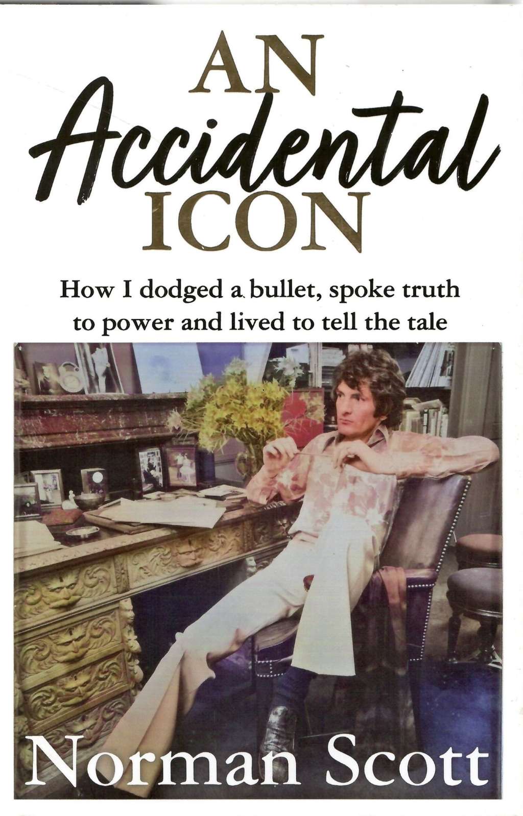 An Accidental Icon: How I dodged a bullet, spoke truth to power and lived to tell the tale