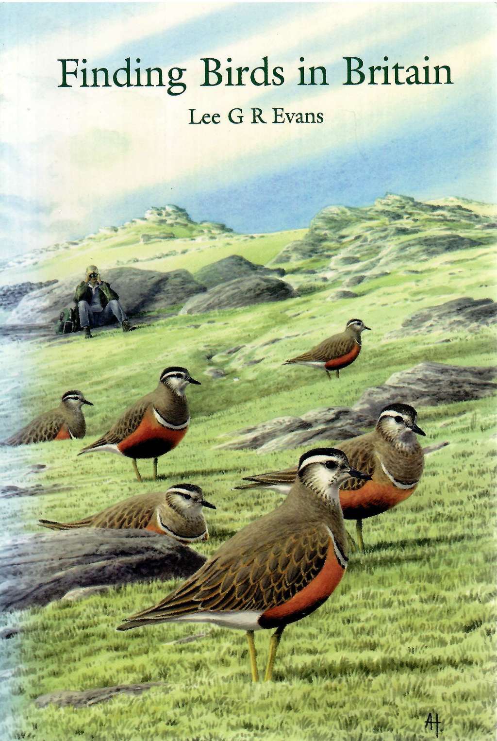 Finding Birds in Britain