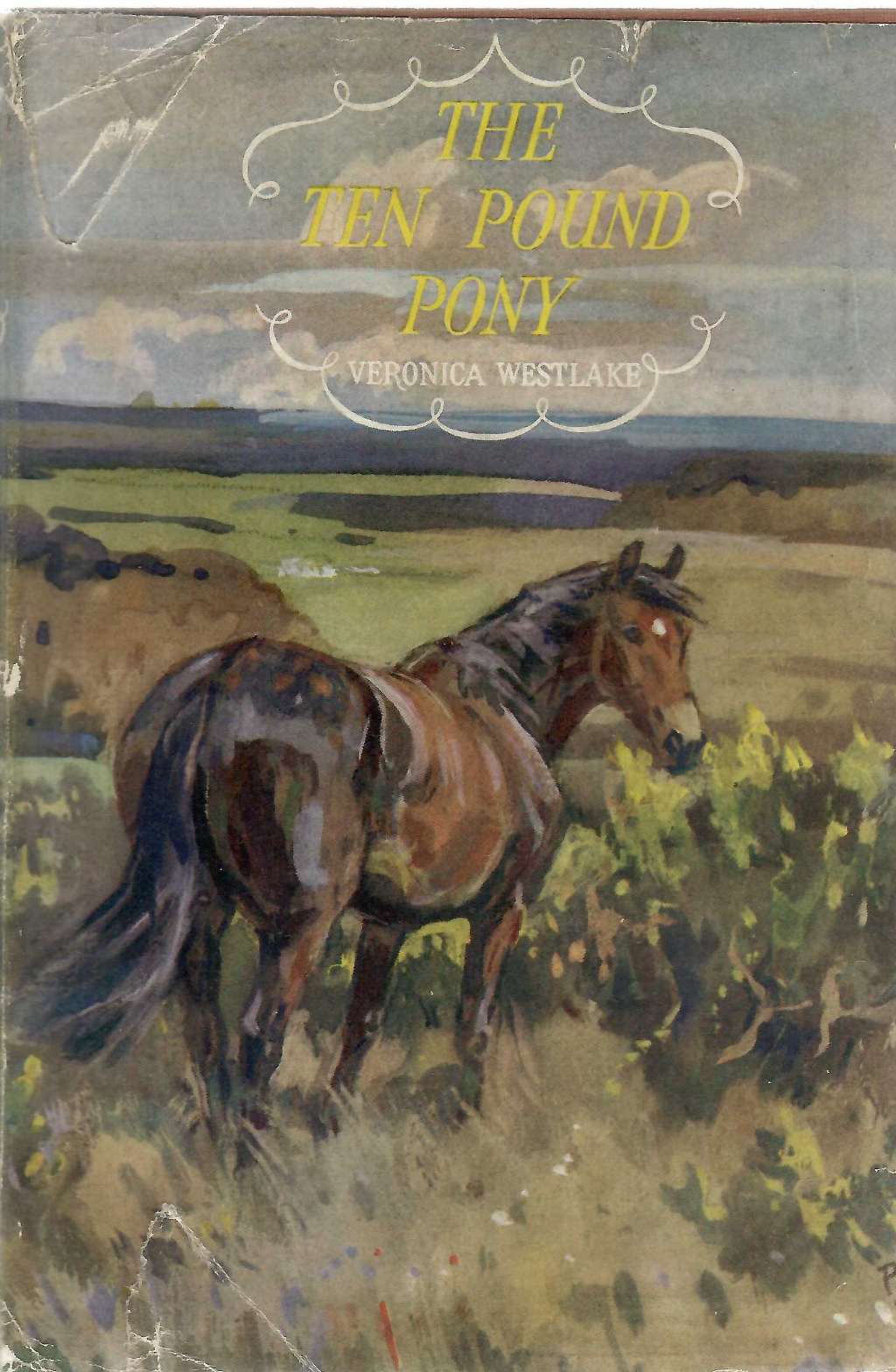 The Ten-pound Pony