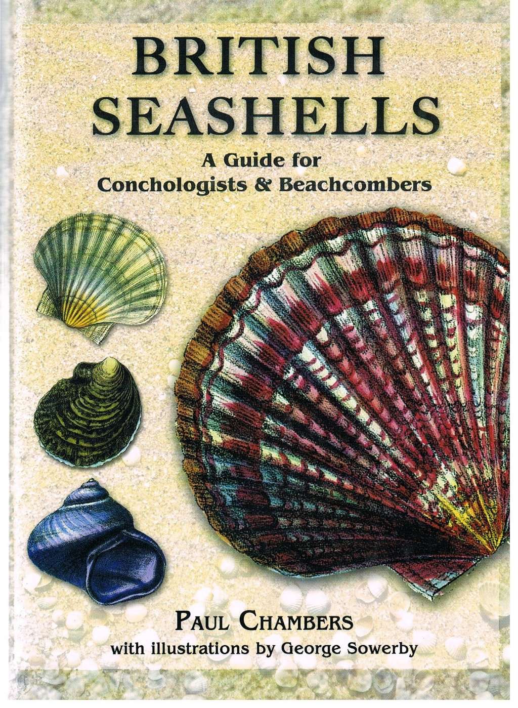 British Seashells: A Guide for Collectors and Beachcombers (Remember When)