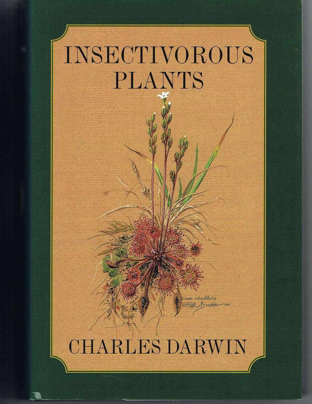 Insectivorous Plants