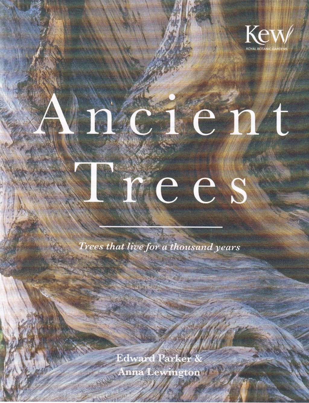 Ancient Trees: Trees that live for a thousand years (National Trust History & Heritage)
