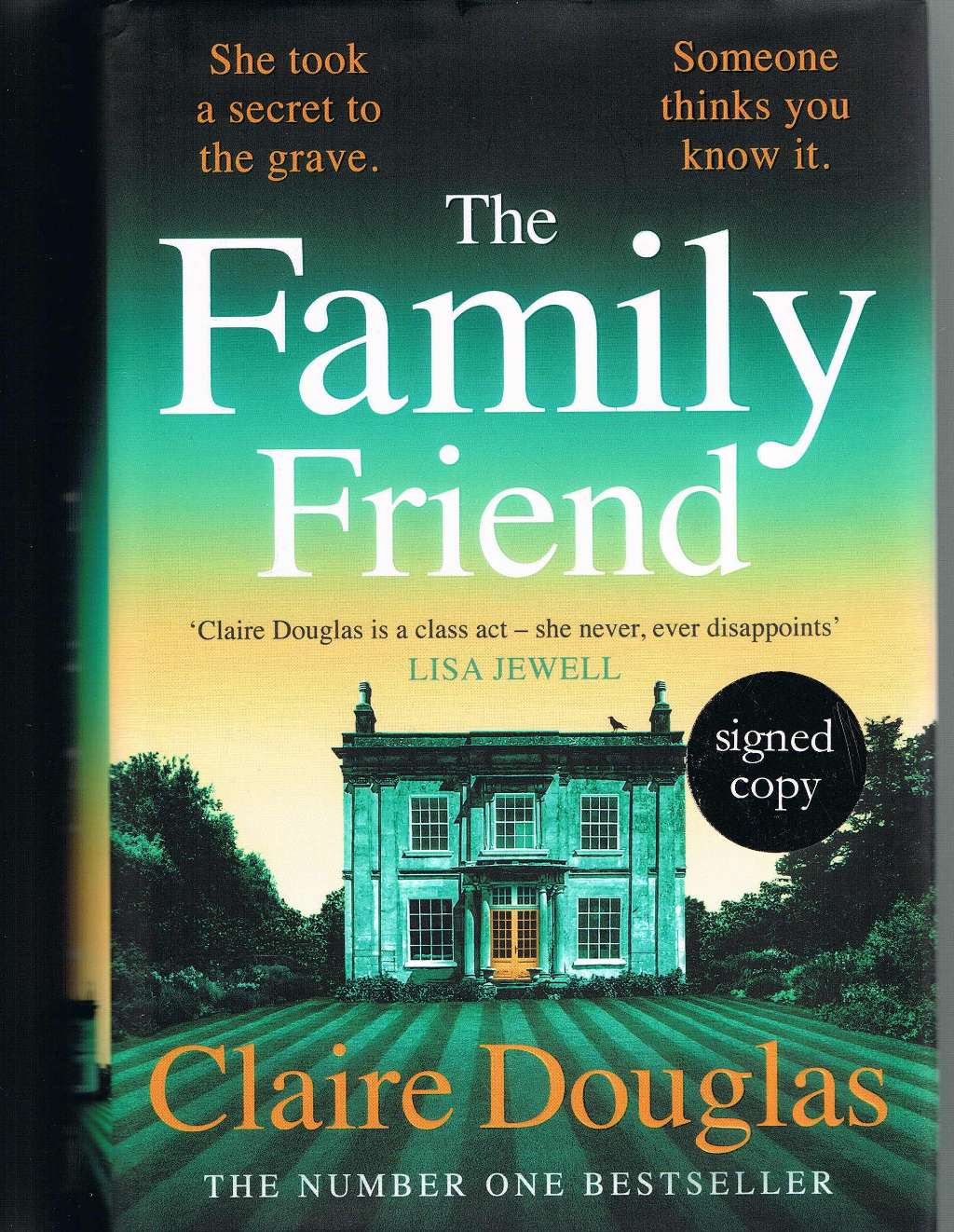 The Family Friend: The dark and addictive new thriller about murder, memory and the secrets that won’t stay hidden ? from the No. 1 Sunday Times bestselling author