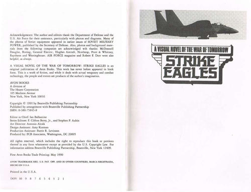 A Visual Novel of War Tomorrow: Strike Eagles (Illustrated Novel of Near Future Warfare)