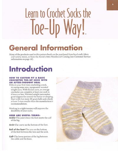 Learn to Crochet Socks the Toe-Up Way! (Annie's Attic)