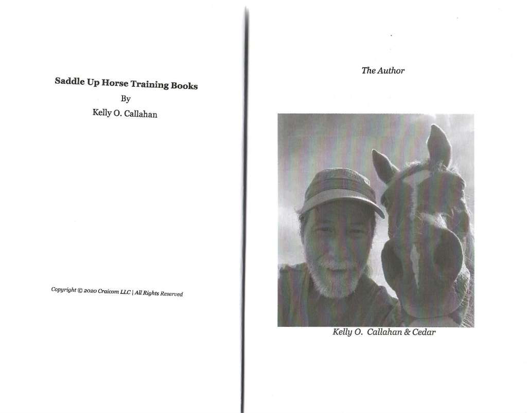 Standardbred Training Book for Standardbred Horses By SaddleUP Horse Training, Are You Ready to Saddle Up? Easy Training * Fast Results, Standardbred Horse
