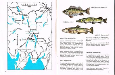 Fishing in the Lake District by Bob Patterson