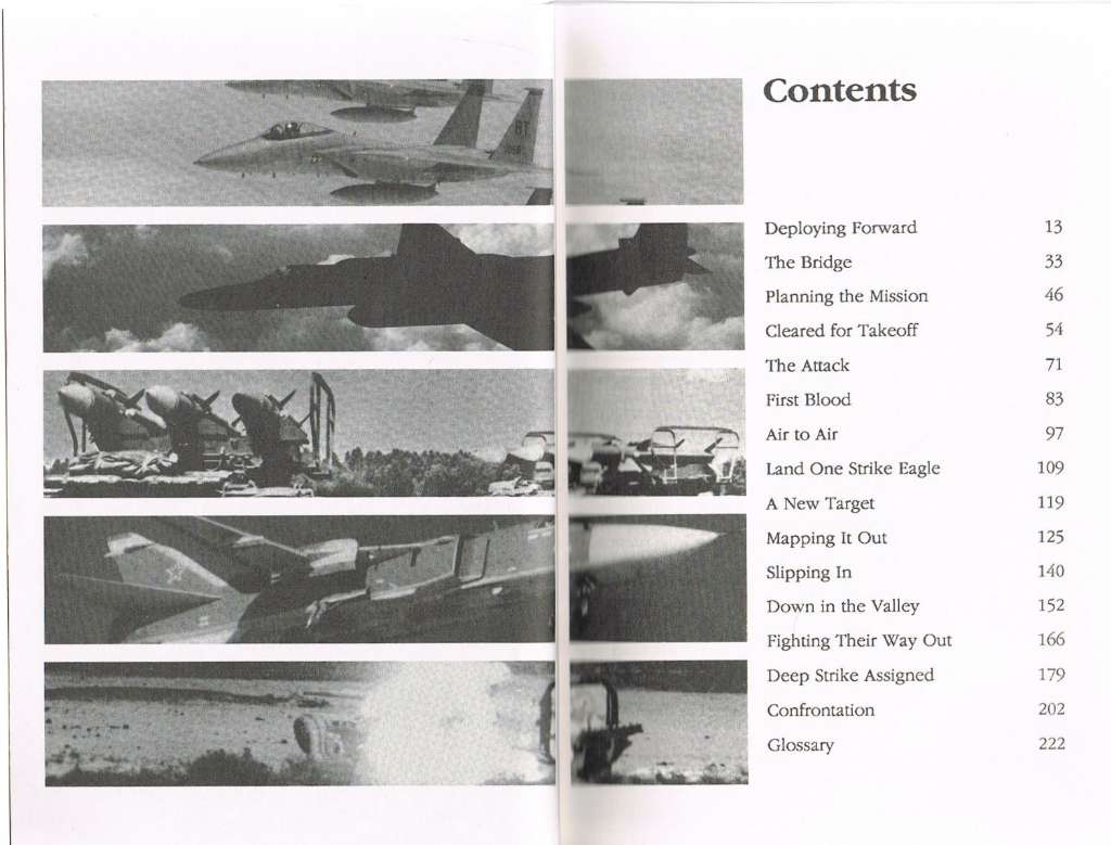 A Visual Novel of War Tomorrow: Strike Eagles (Illustrated Novel of Near Future Warfare)