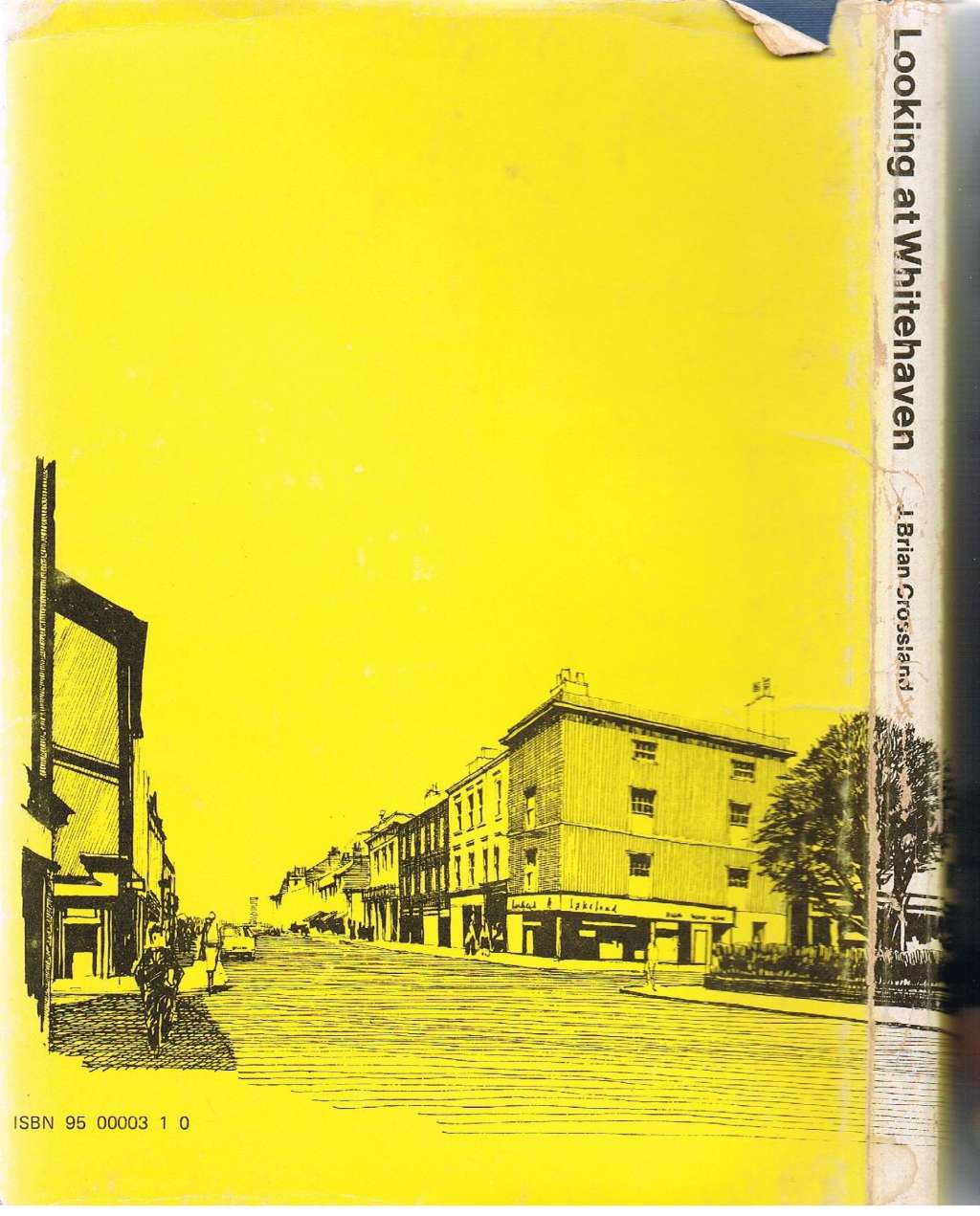 Looking at Whitehaven by J. Brian Crossland