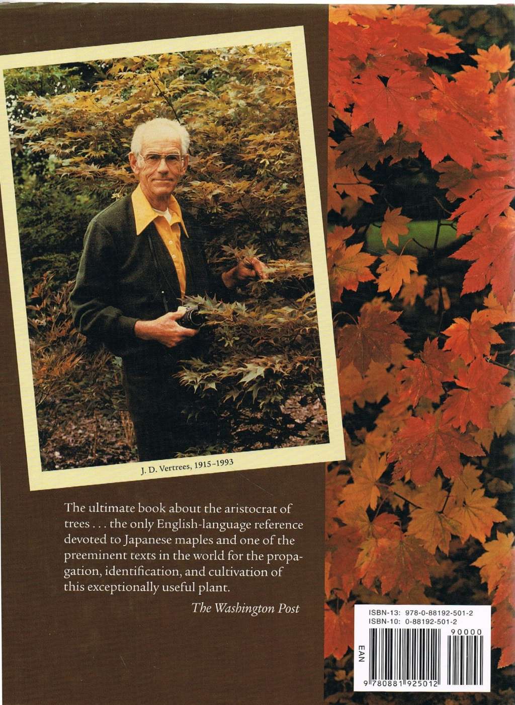 Japanese Maples: Momiji and Keade