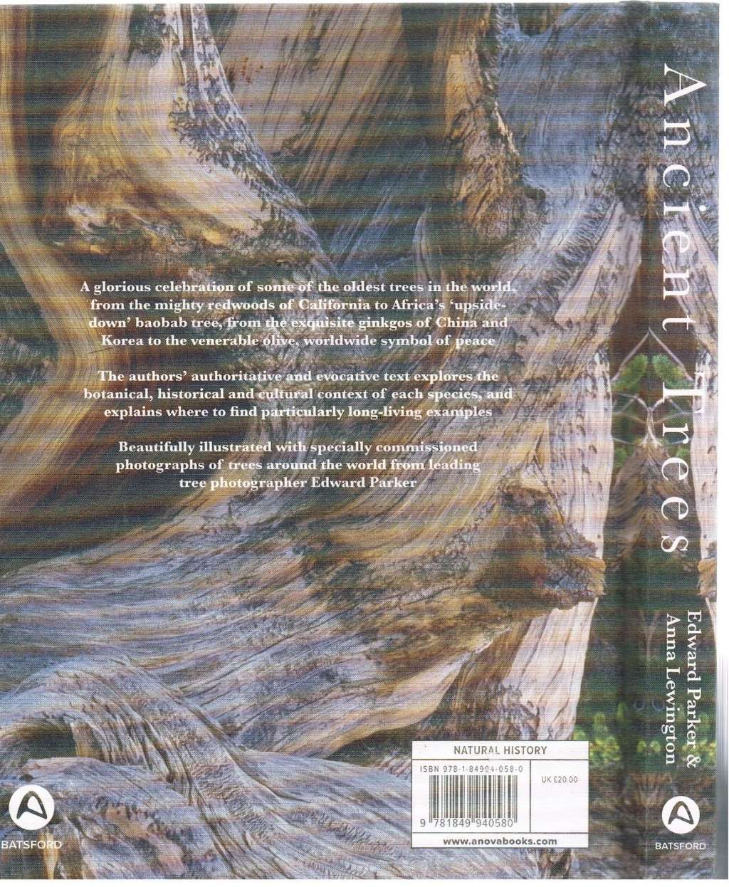 Ancient Trees: Trees that live for a thousand years (National Trust History & Heritage)