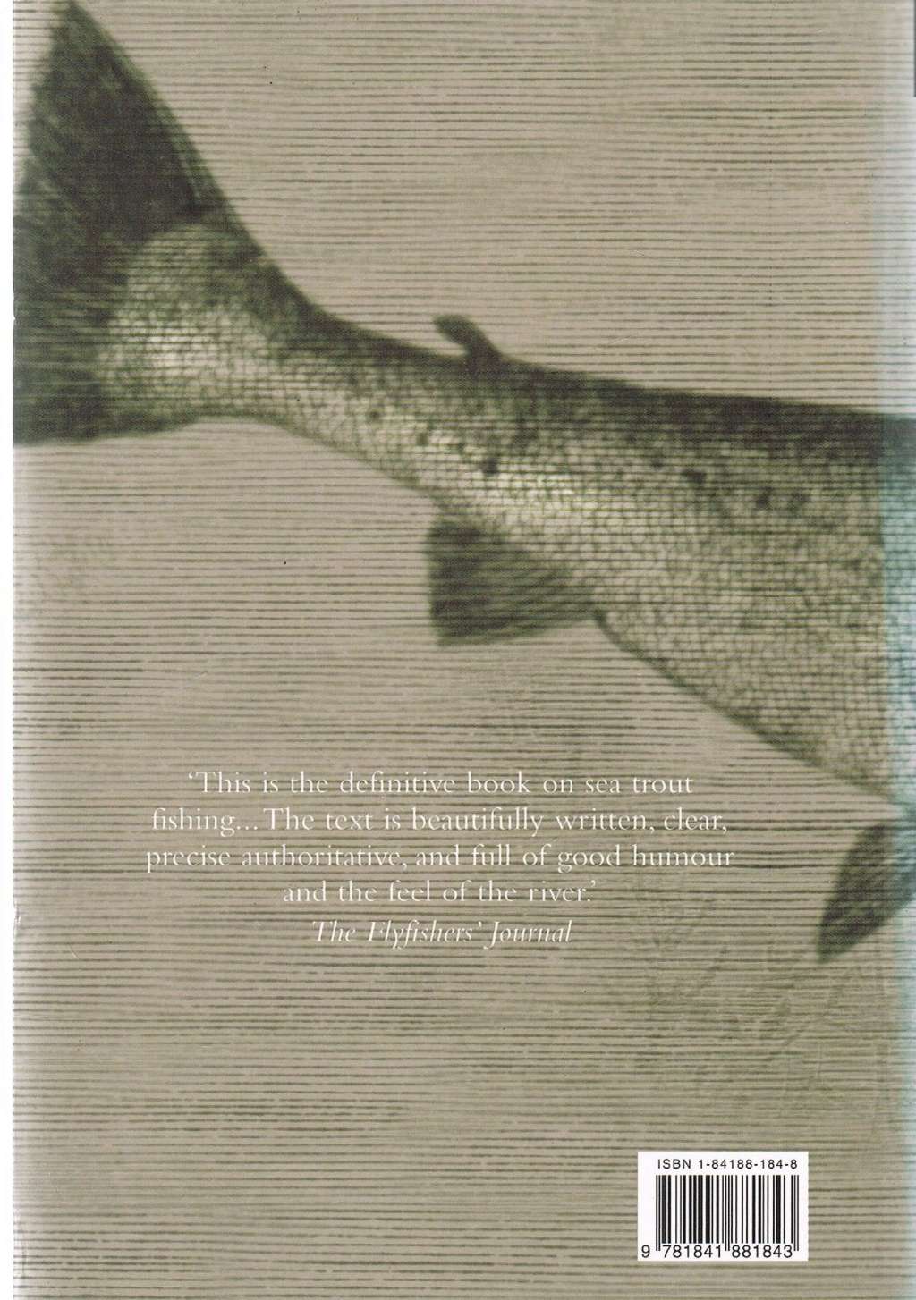Sea Trout Fishing