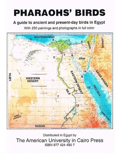 PHARAOHS BIRDS